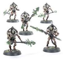 Necrons: Lychguard / Triarch Praetorians